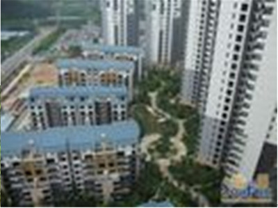 東莞珠佳房地產 專業房地產代理服務，助力投資與登記無憂